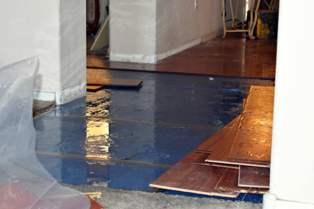 Professional Water Damage technician working in Buckholts, TX