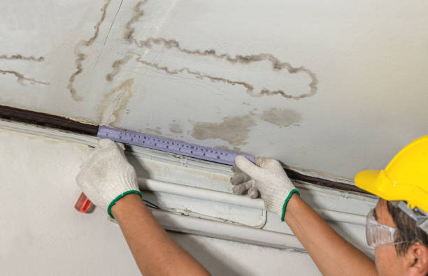 Reliable Water Damage contractor in Buckholts, TX by Water Damage Irwin